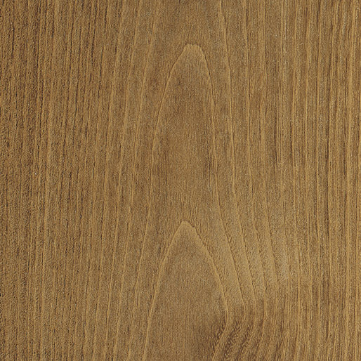 Chestnut,European-Plain Sliced