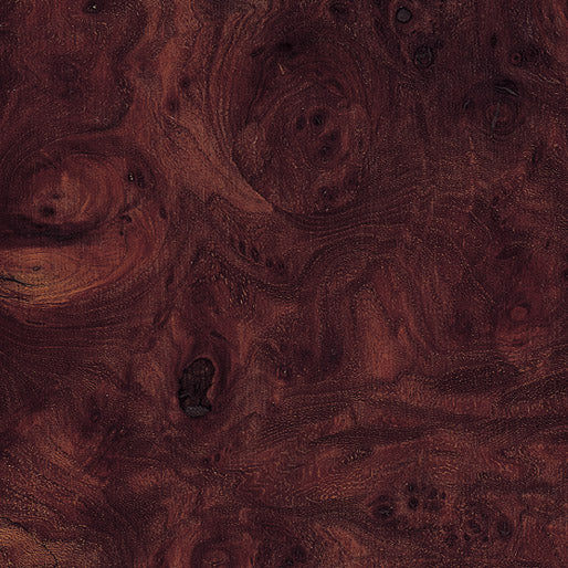 Elm, Carpathian Burl