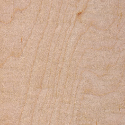 Maple , Curly