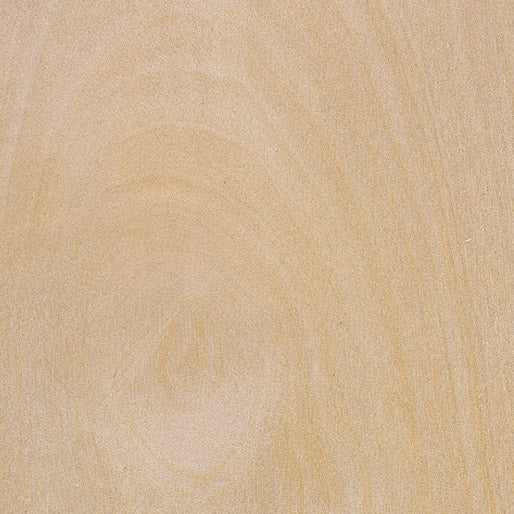 Poplar, Chilean