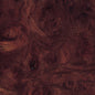 Elm,Carpathian Burl