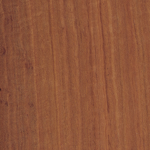 Eucalyptus-Quartered