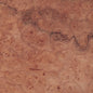 Maple Burl