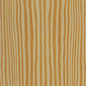 Pine, Carolina - Quartered