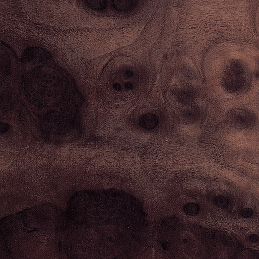Walnut Burl
