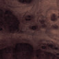 Walnut Burl