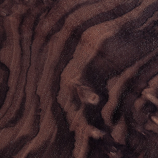 Walnut, Swirly Burl