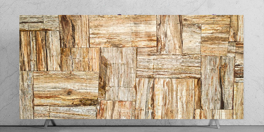 Petrified Wood| Precious Gem Surfaces - 3