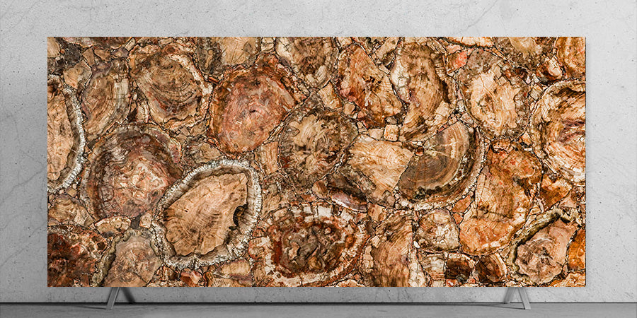 Petrified Wood| Precious Gem Surfaces - 6