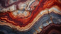 Petrified Wood| Precious Gem Surfaces - 7